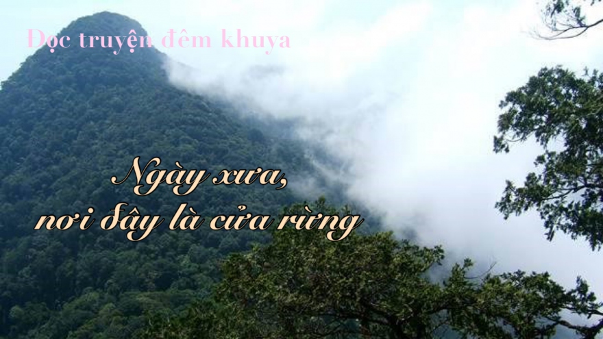 Truyện ngắn "Ngày xưa, nơi đây là cửa rừng"